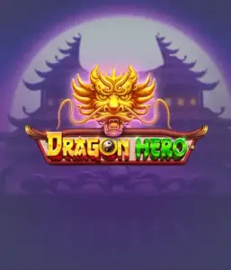 Присоединитесь к легендарное приключение с игрой Dragon Hero от Pragmatic Play, представляющей захватывающую графику древних драконов и эпических столкновений. Исследуйте царство, где легенда встречается с волнением, с символами вроде сокровищ, мистических существ и зачарованных оружий для триллерного слот-опыта.